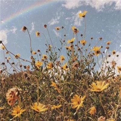 亚博平台链接截图