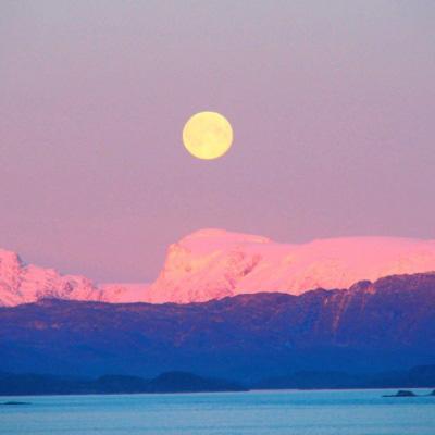 金博宝官网截图