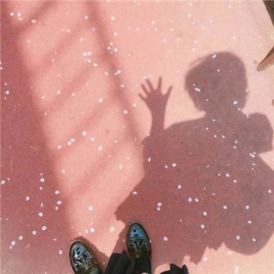 2023年新澳门今晚开特马app下载